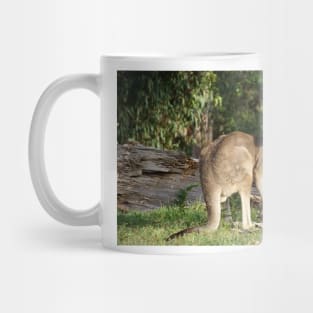 Kangaroo - by Avril Thomas Mug